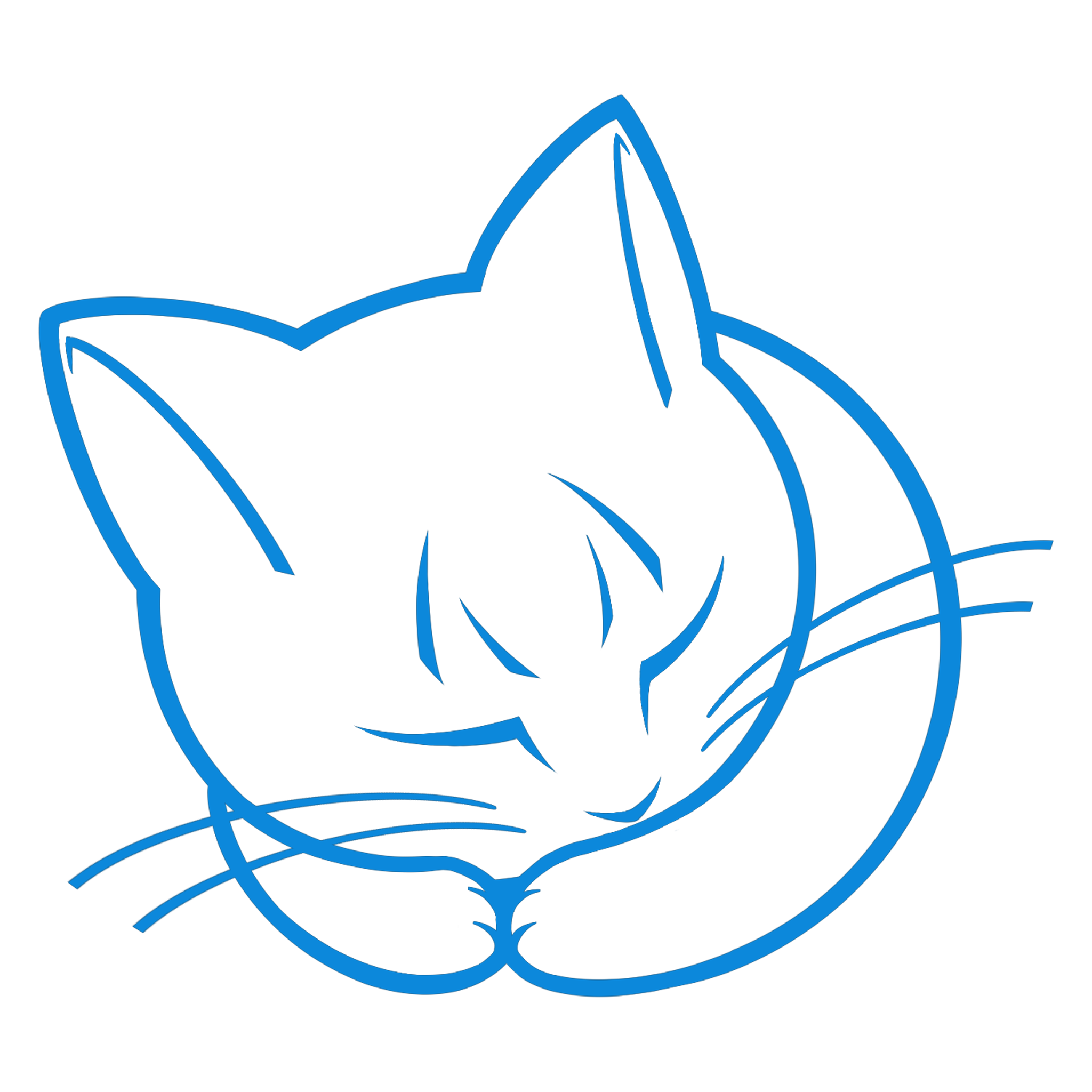 嗜睡的猫咪
